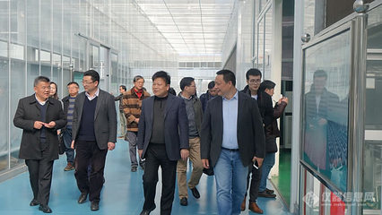 上海市农科院院长蔡友铭一行莅临AgriPheno平台调研，推动互联网数据服务与农业科技融合