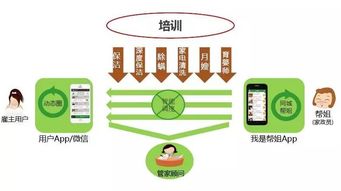 智慧生活新篇章 e家帮携手彩生活集团，以数据驱动家政服务全面升级