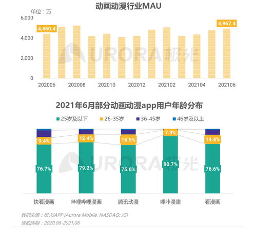 2021年Q2极光移动互联网行业数据研究报告 互联网数据服务深度洞察